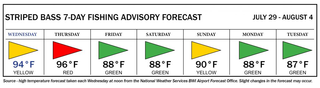 Striped Bass advisory forecast showing yellow flag days on Wednesday and Sunday; red flag day on Thursday; green flag days on Friday, Saturday, Monday and Tuesday