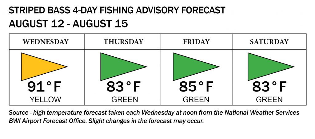 Maryland Fishing Report – August 12
