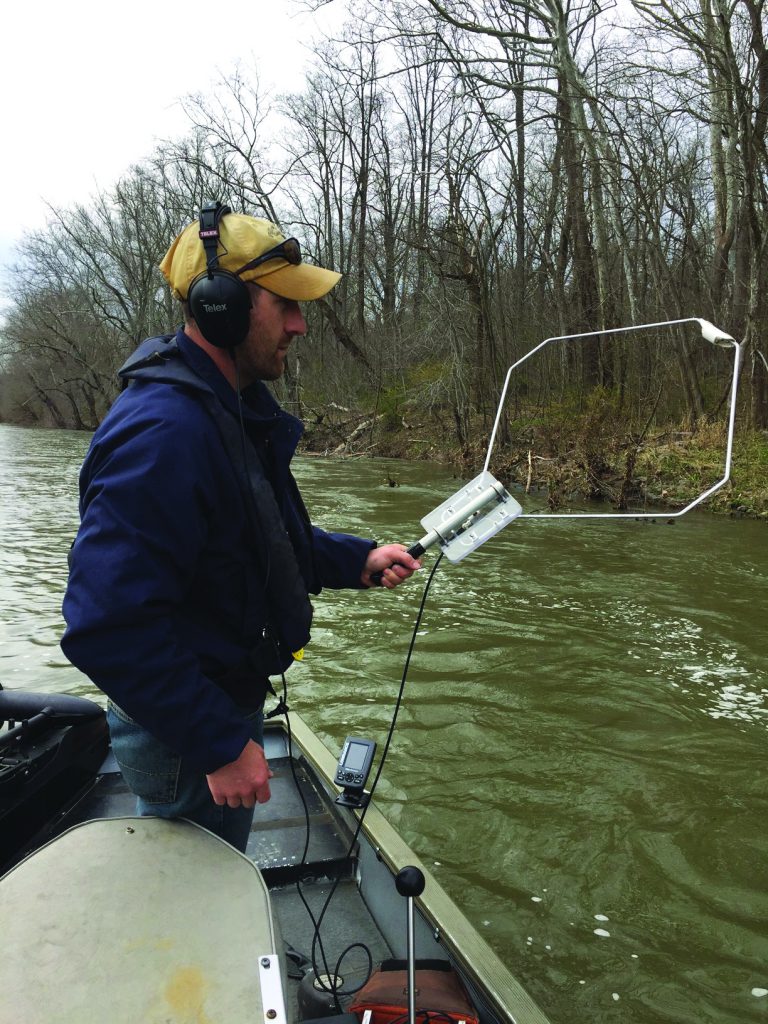 Photo of biologist using antenna to track fish with implanted tracker