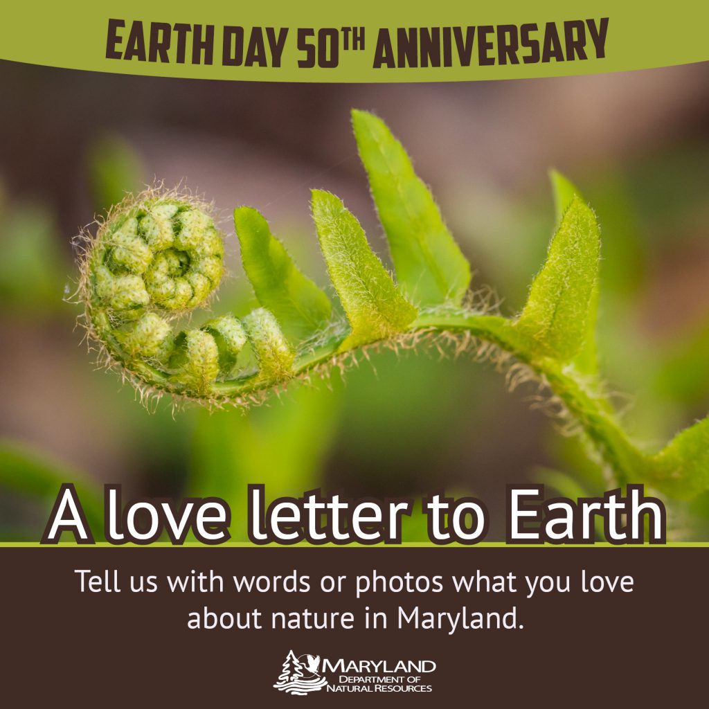Image of fern with verbiage promoting Earth Day 2020