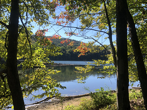 Early leaf changes in Rocky Gap State Park, photo by Julie Musselwhite