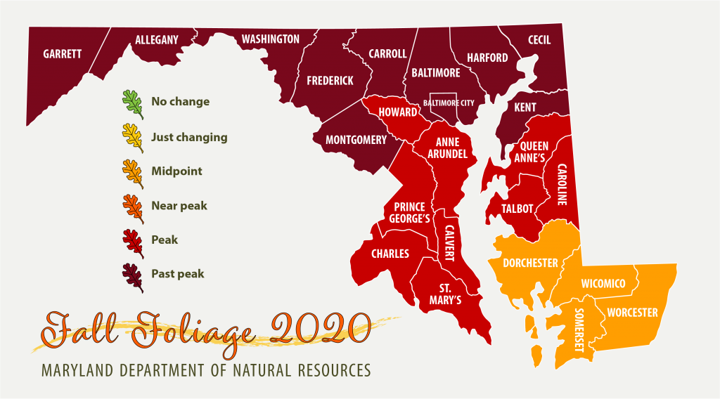Map of Maryland showing peak foliage in central and southern Maryland