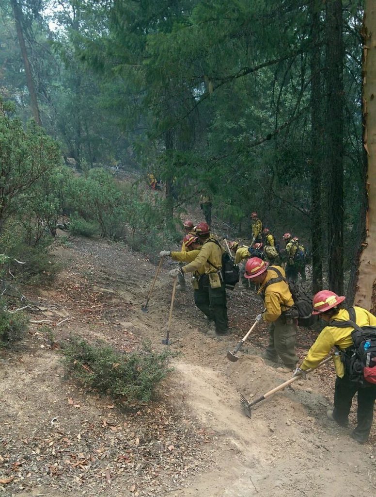 Photo of wildland firefighters