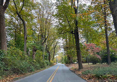 Fall trees line a rural road in Baltimore County