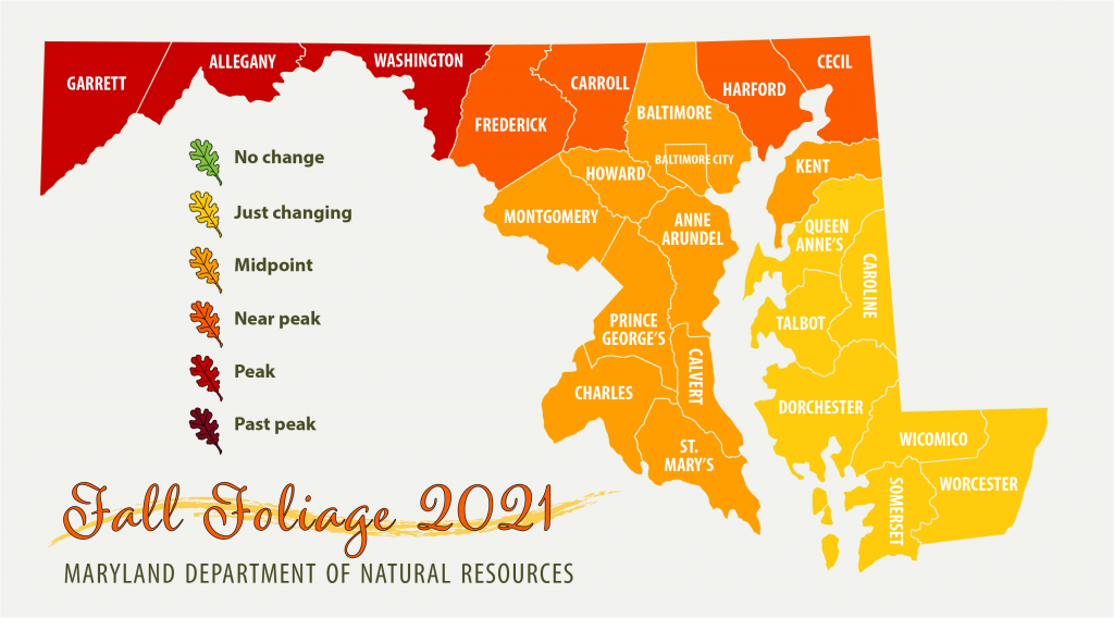 Map of Maryland showing peak fall foliage in western Maryland