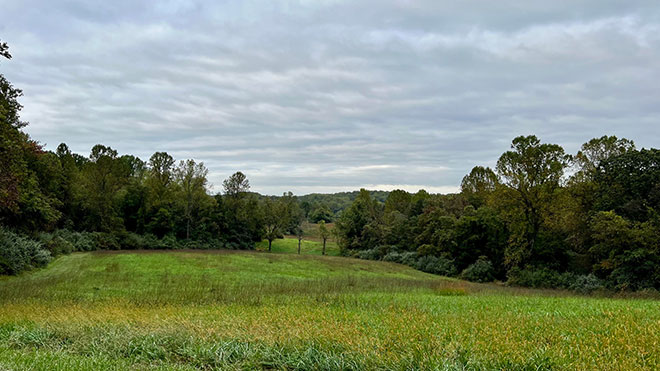 Fields at Fair Hill NRMA