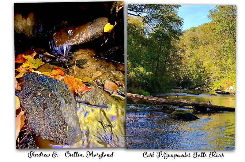 Photos of leaves in a waterfall and a person fishing in the Gunpowder River