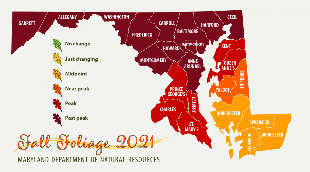 Map of Maryland showing peak foliage in southern and eastern Maryland