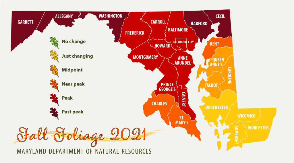 Map showing foliage past peak to the west and peaking or nearing peak in the rest of the state
