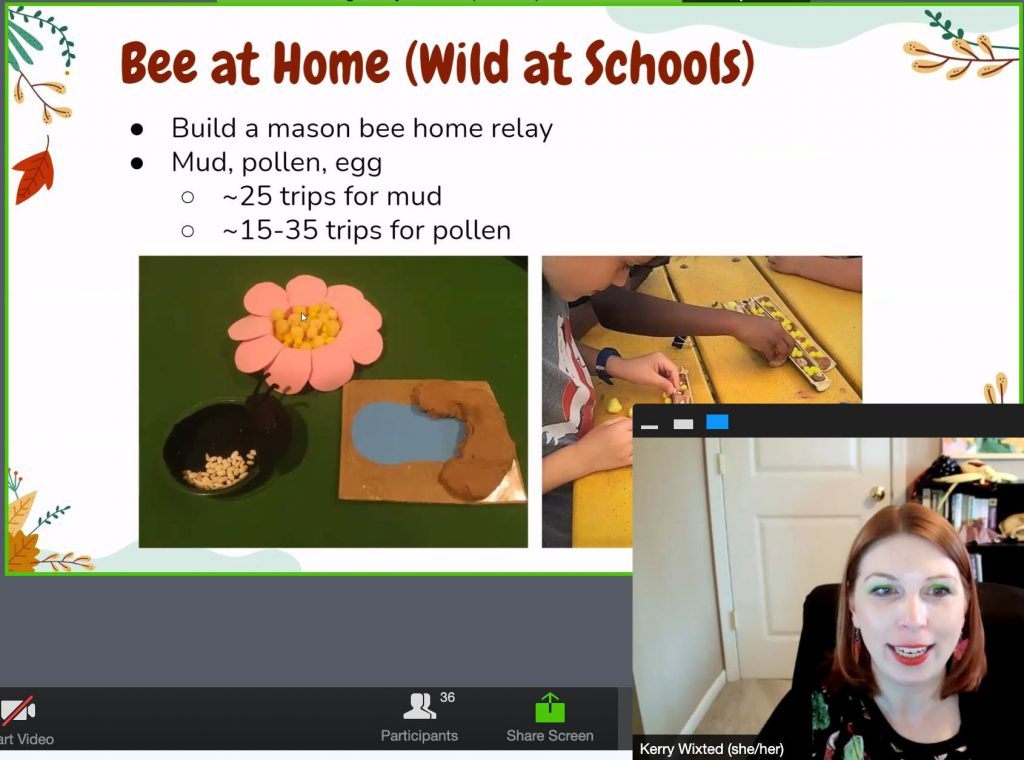 Photo of screenshot from virtual environmental educational program hosted by staff