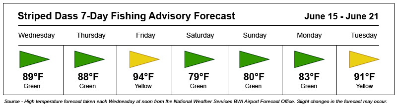 Image of Fishing Advisory Forecas showing yellow flag days on 