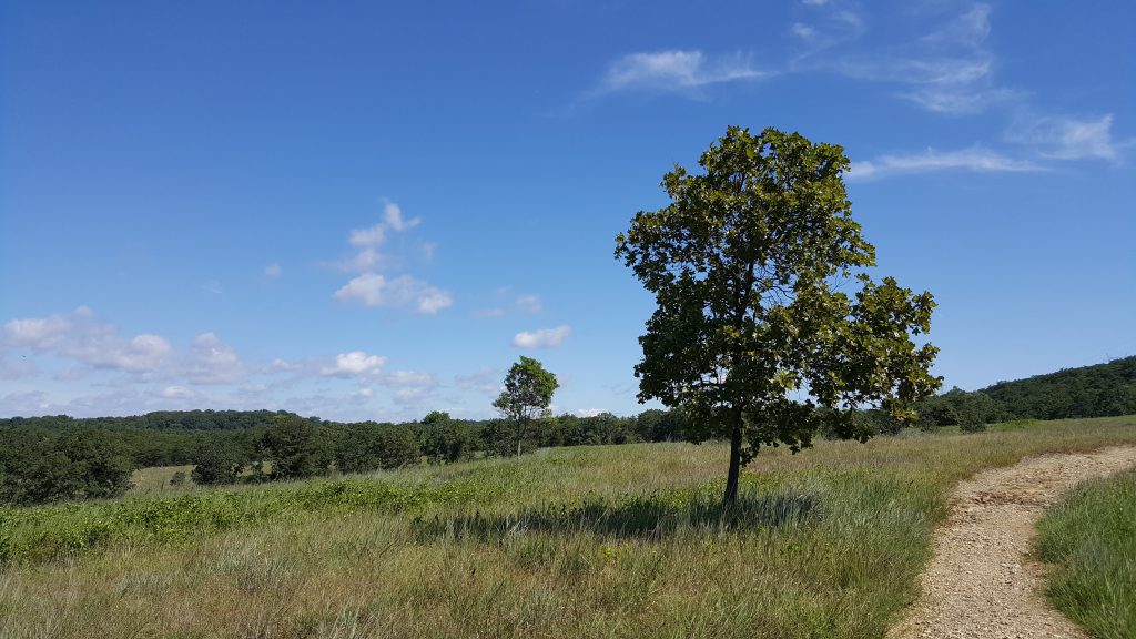 Photo of Soldiers Delight view with trail