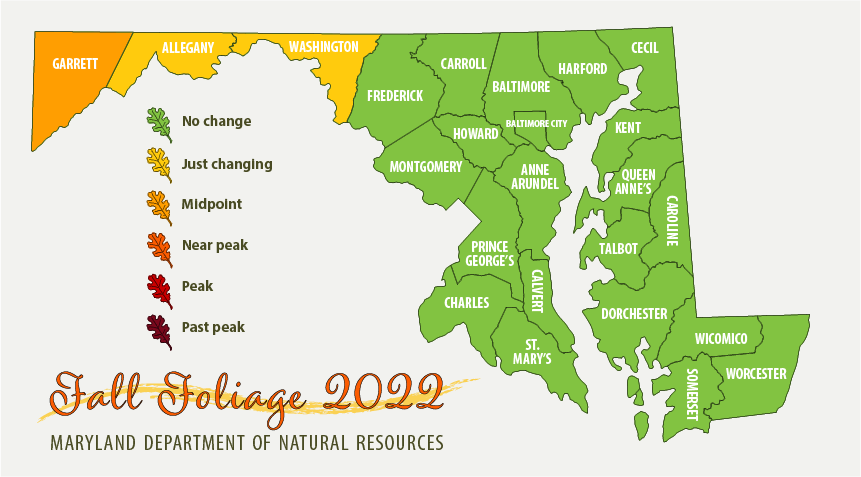 Map of Maryland. Garrett County has started to see color, Allegany and Washington Counties are just changing