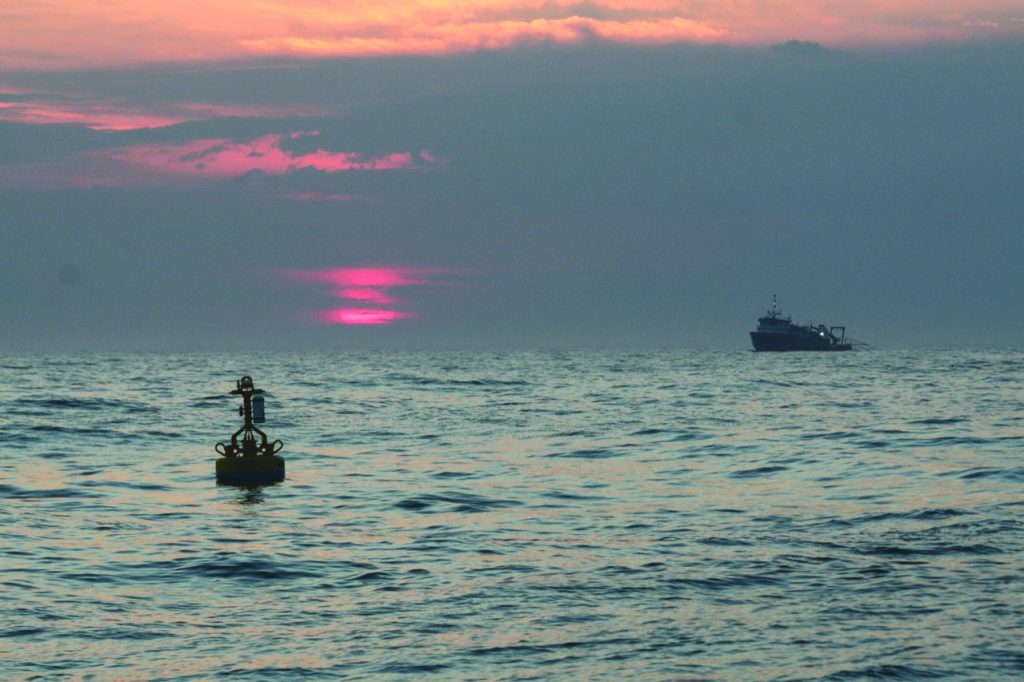 Photo of buoy deployed in ocean