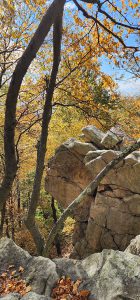 Rock outcropping surrounded by fall leaves