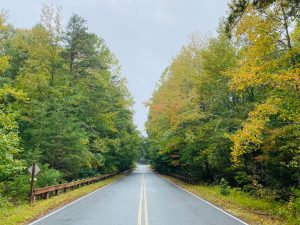 yellows and greens line the road to Cedarville State Park