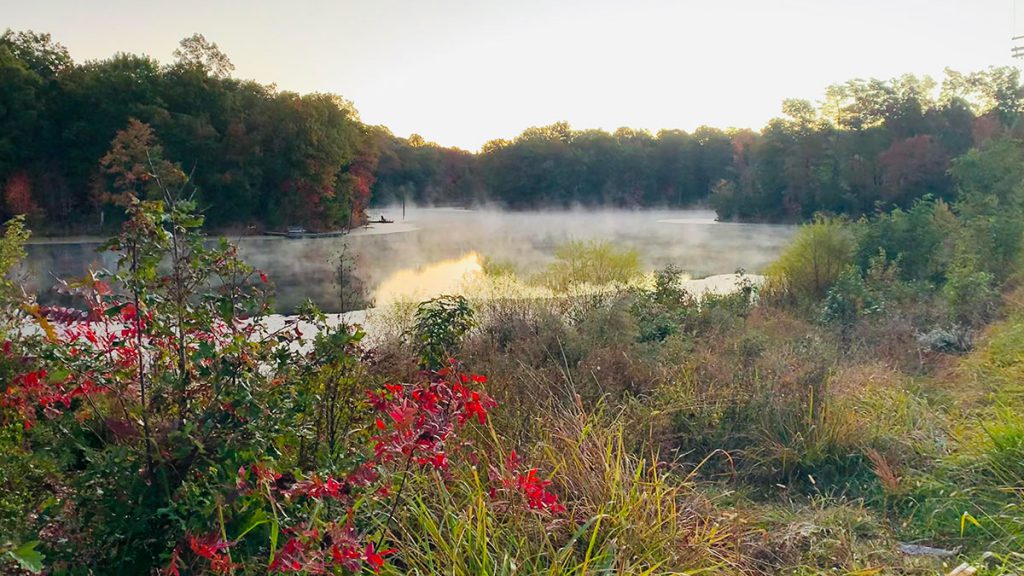 mist covered pond with wildflowers mixing in with the fall colors
