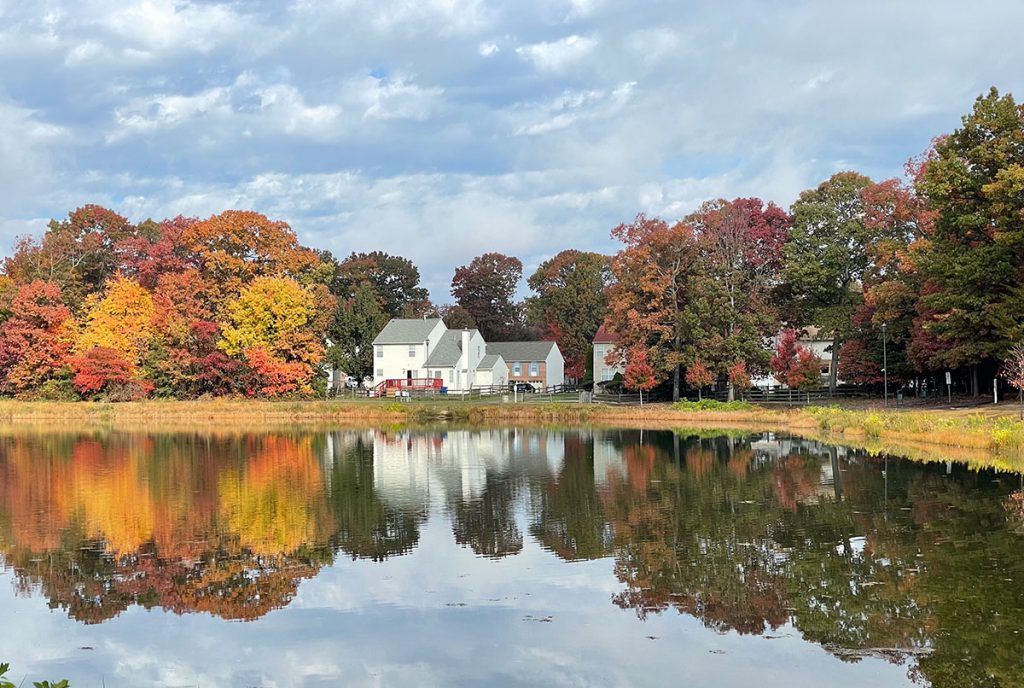 Homes surrounded by fall trees by a lake, all reflecting in the lake