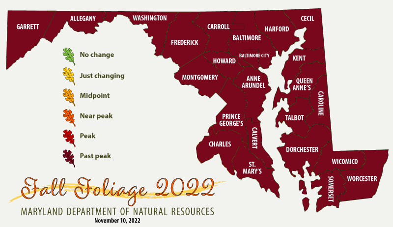 Map of Maryland, we're past peak across the state. Some color remains, mostly on the eastern shore