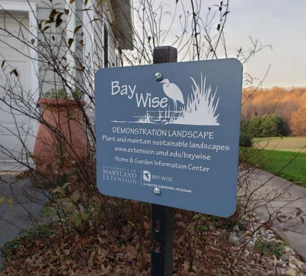 Photo of Baywise sign