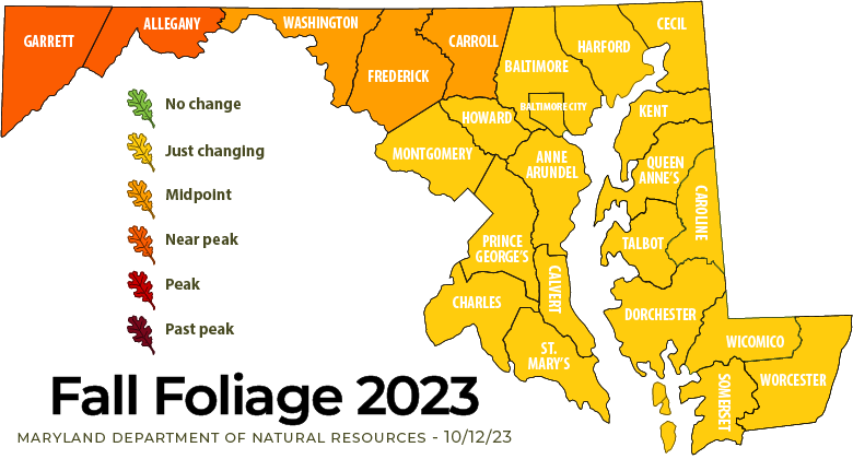 Fall Foliage map as of 10/12/2023