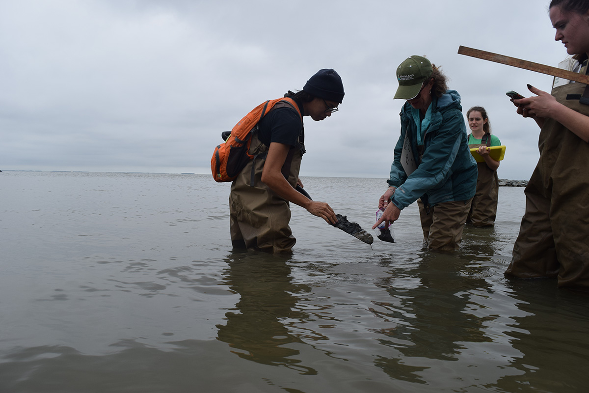 DNR staff collect sand for sediment analysis.
