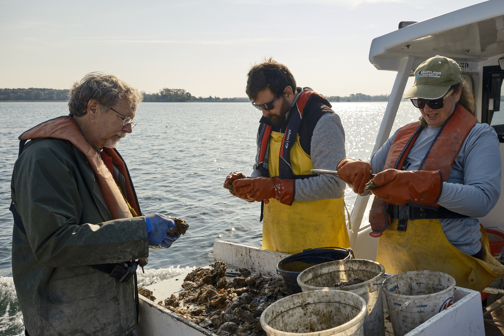 Photo of three people examining oyster shells on a boat. 