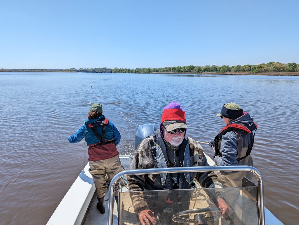 Three biologists on a small boat, casting a net into the Choptank River.