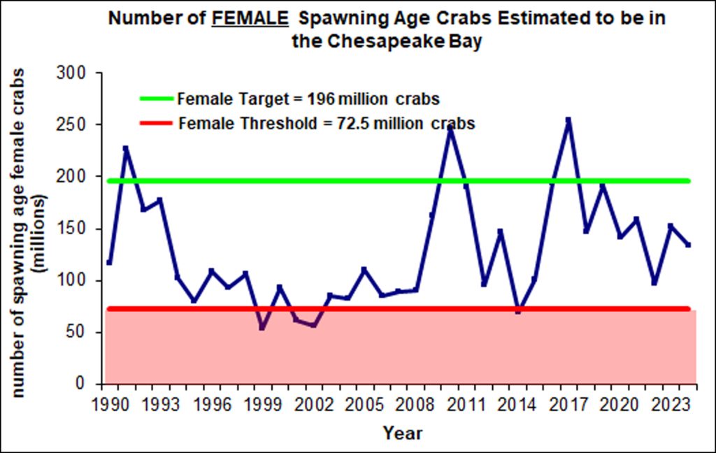 A graph showing the number of mature female crabs in the Chesapeake Bay over time