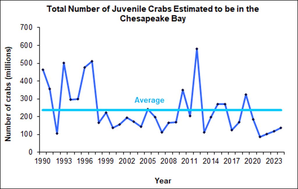 A graph showing the juvenile crab abundance over time