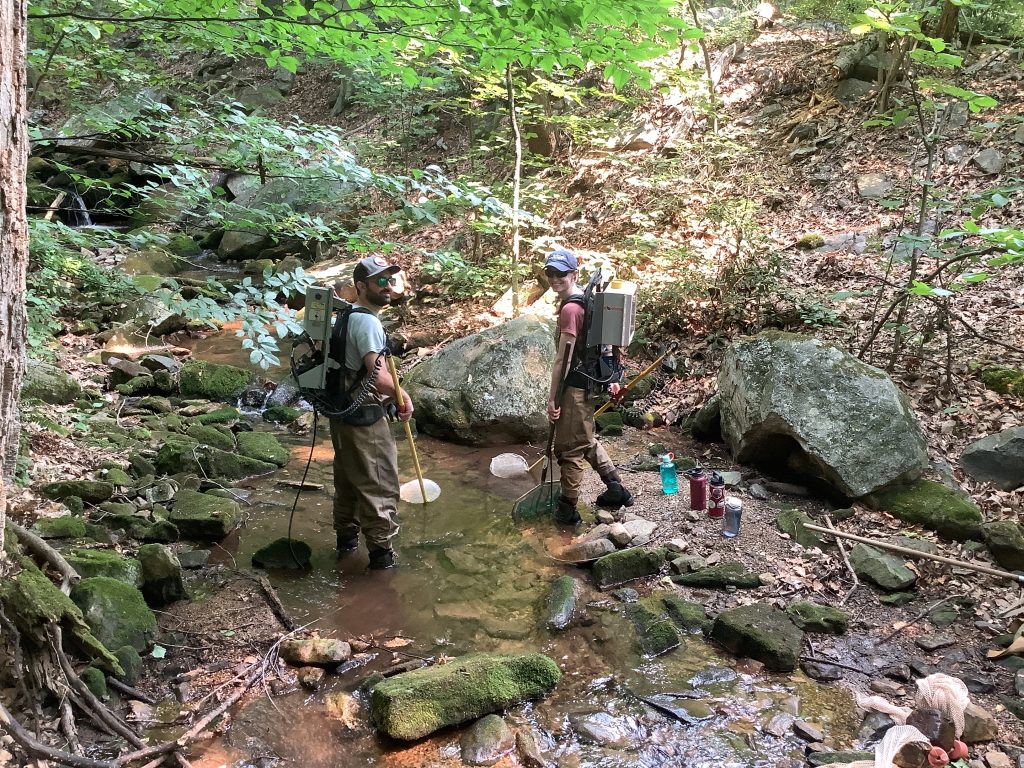 Two DNR staff members standing in a stream in a wooded area.