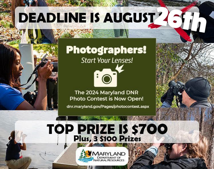 Maryland DNR extends photo contest deadline to August 26