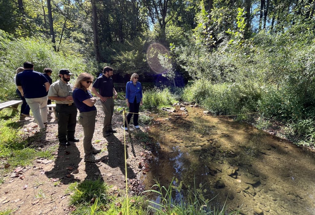 Photo of people looking at a streambed in a wooded area