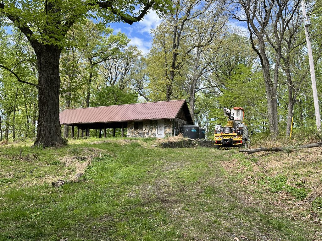 Photo of park pavilion in a wooded area