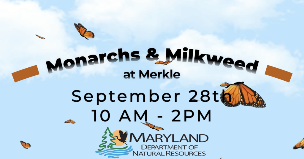 Image with information on Monarch and Milkweed Festival