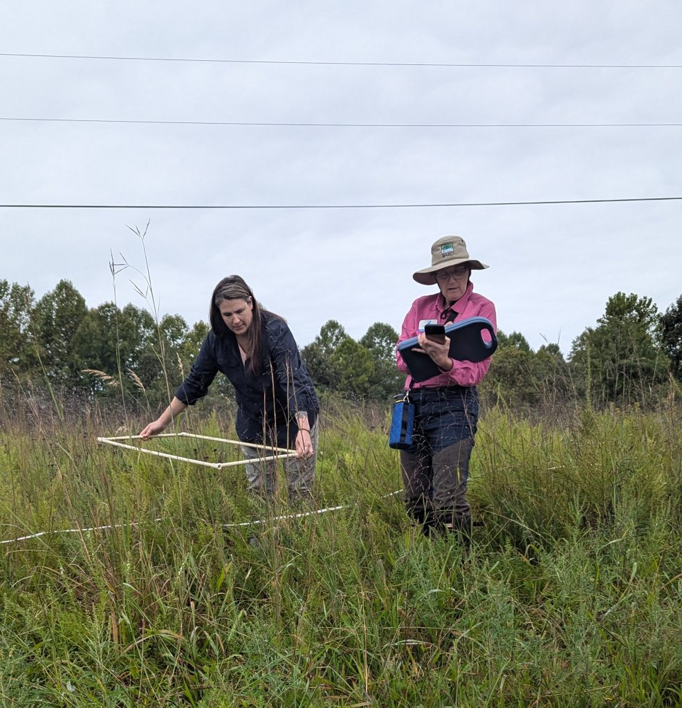 Two women monitoring a grassy area