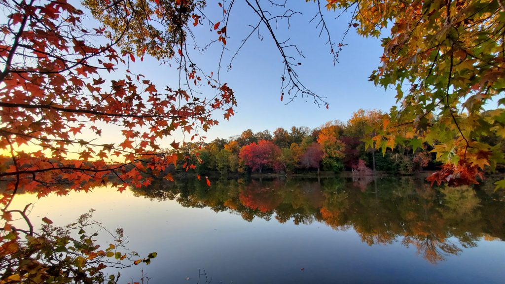 Fall colors are bursting at Greenbelt Lake in Prince George's County