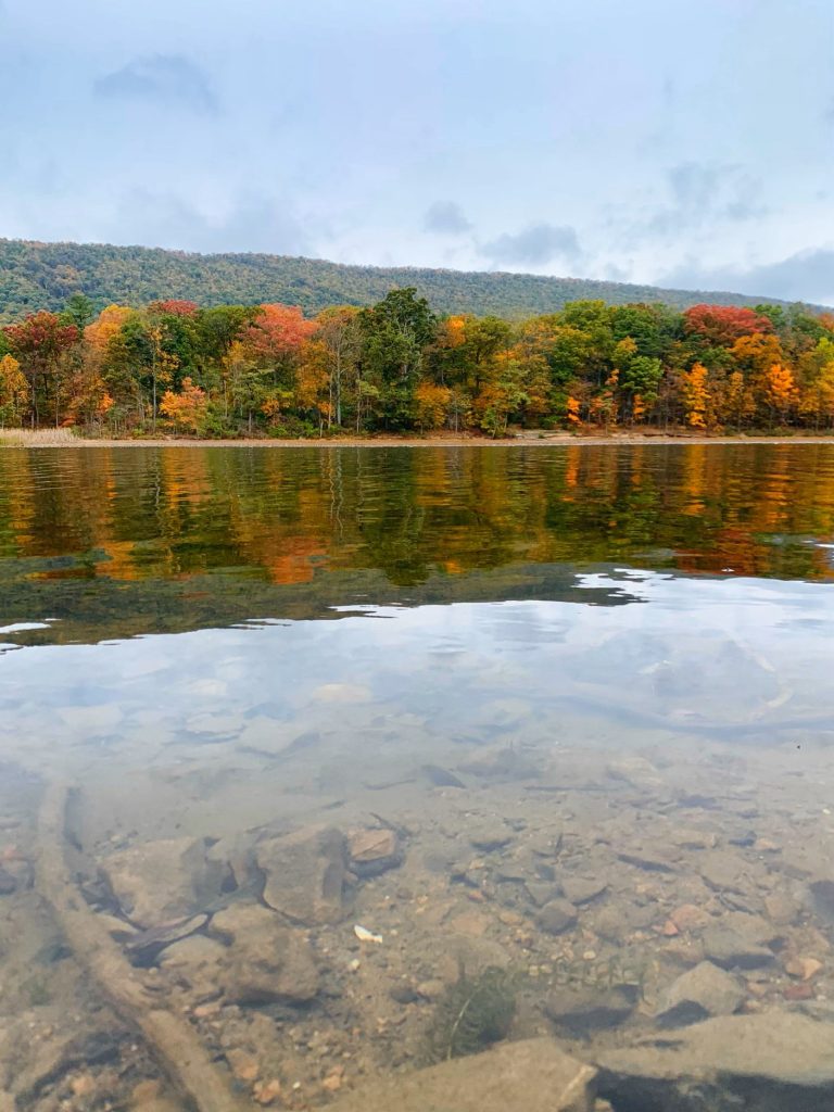 Autumn foliage reflected in Lake Habeeb at Rocky Gap State Park