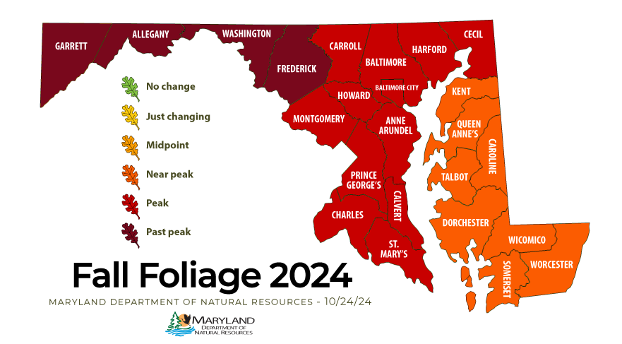 Fall foliage map for October 24. Western Maryland is past peak, central Maryland is at peak and the lower eastern shore is near peak.