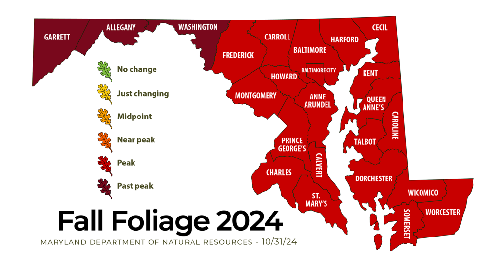 Foliage map 10-31-24