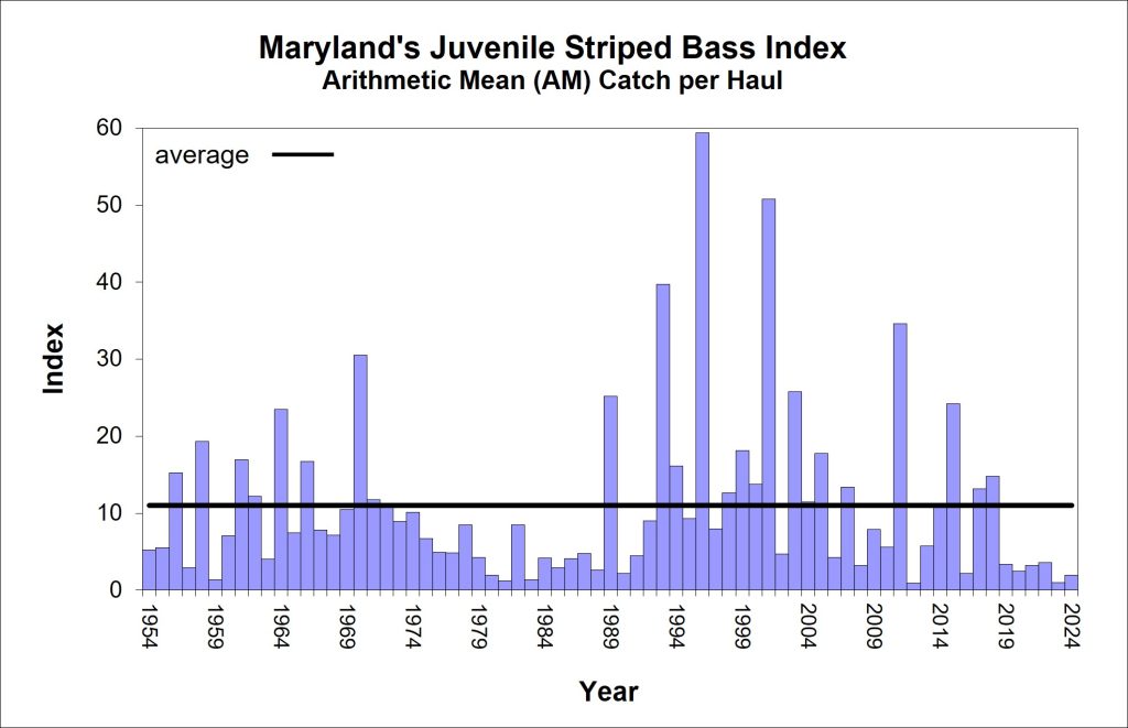 Graph of historic striped bass juvenile index results