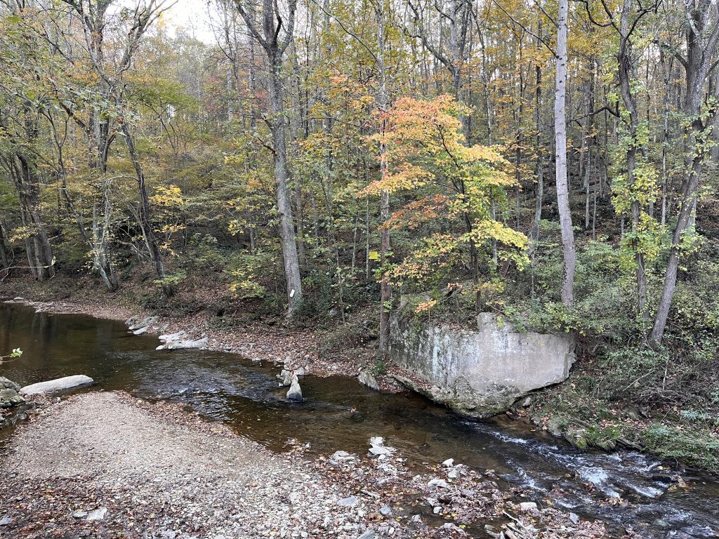 A photo of a stream