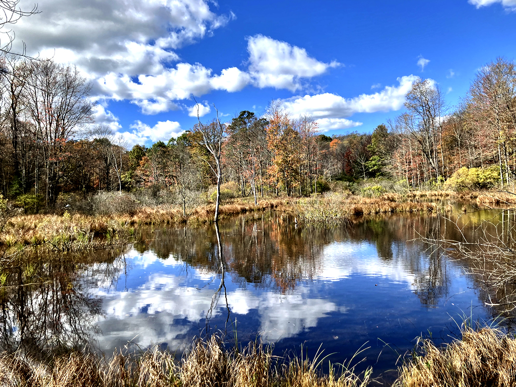 Trees are mostly bare, a few yellows and oranges still hanging around. But the bright blue sky looks amazing on the water with the puffy white clouds. 