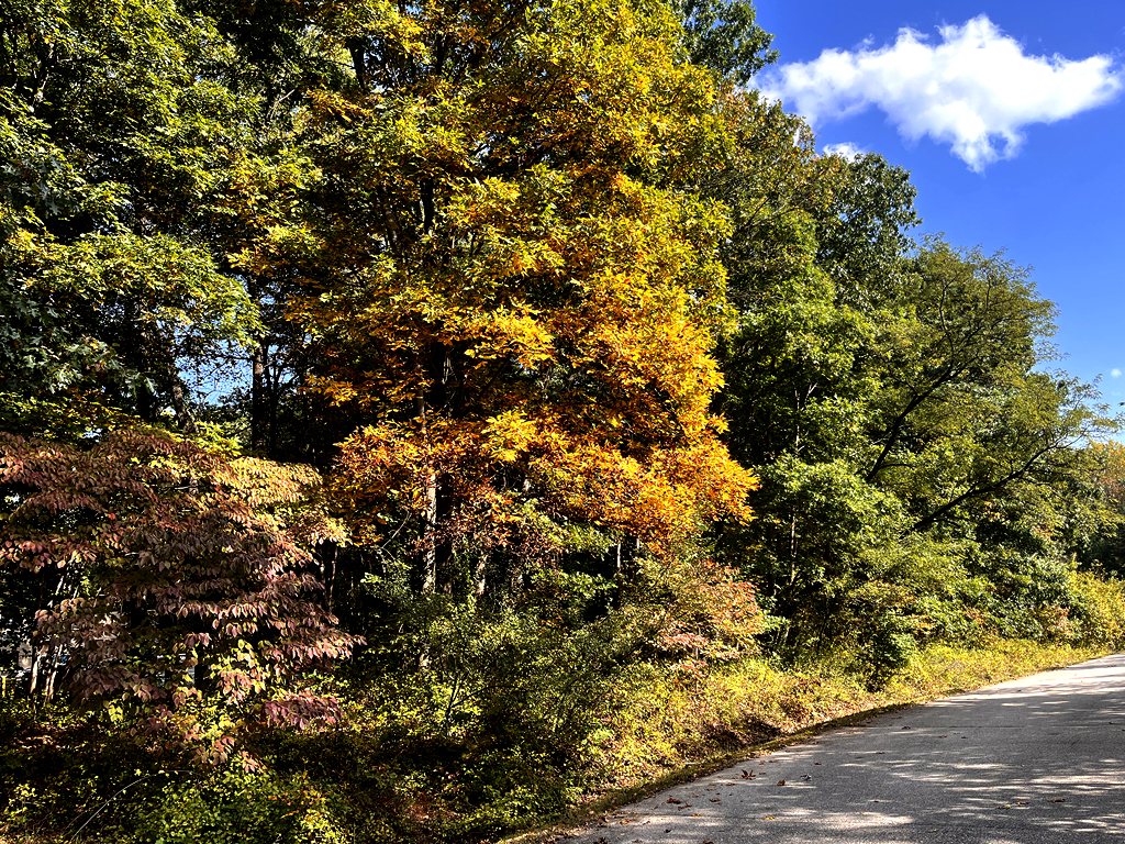 Yellow and red leaves are starting to show along the road. Still lot of green.