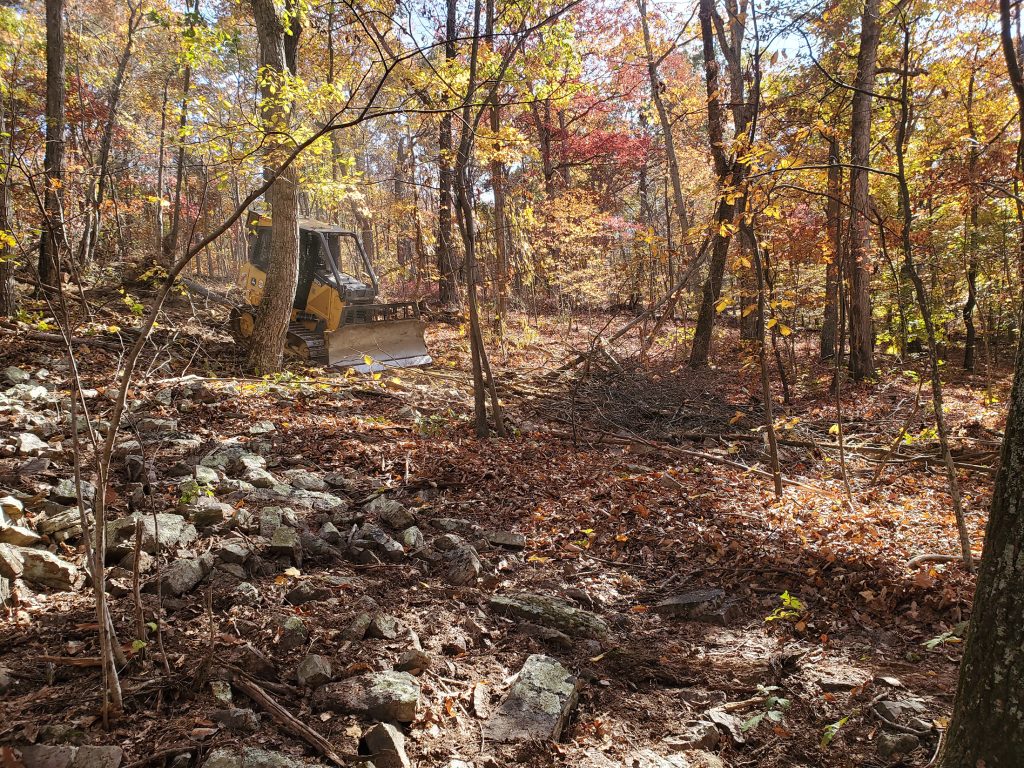 Early fire season. Leaves