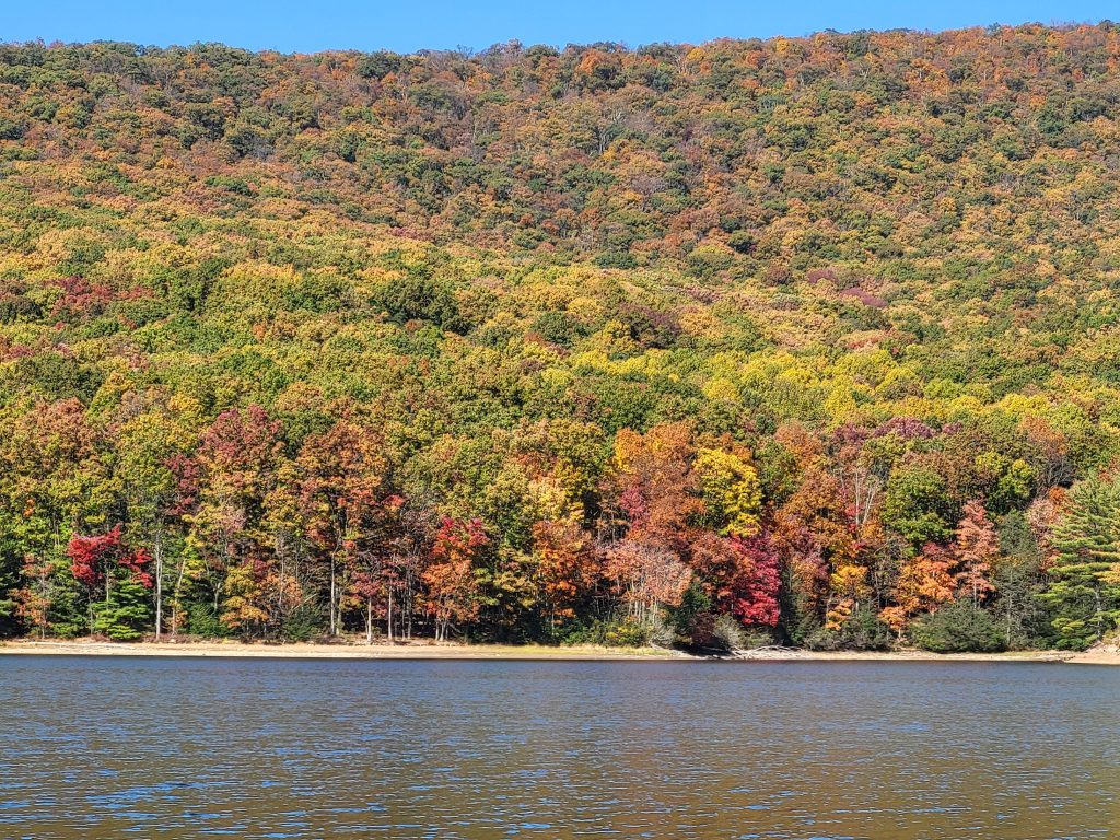 Beautiful yellows and orange trees on the lake side of Evitts Mountain at Rocky Gap.