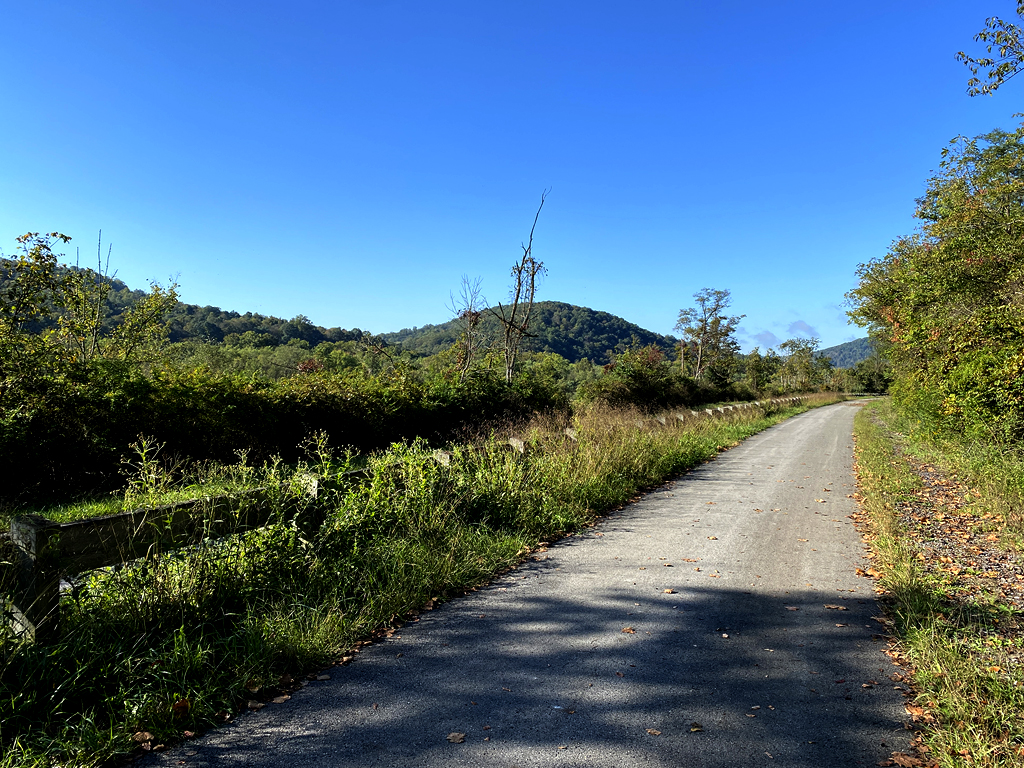 Mountains in the distance along a paved trail. The trees are mostly still green but the understory plants add a splash of color to the mix.