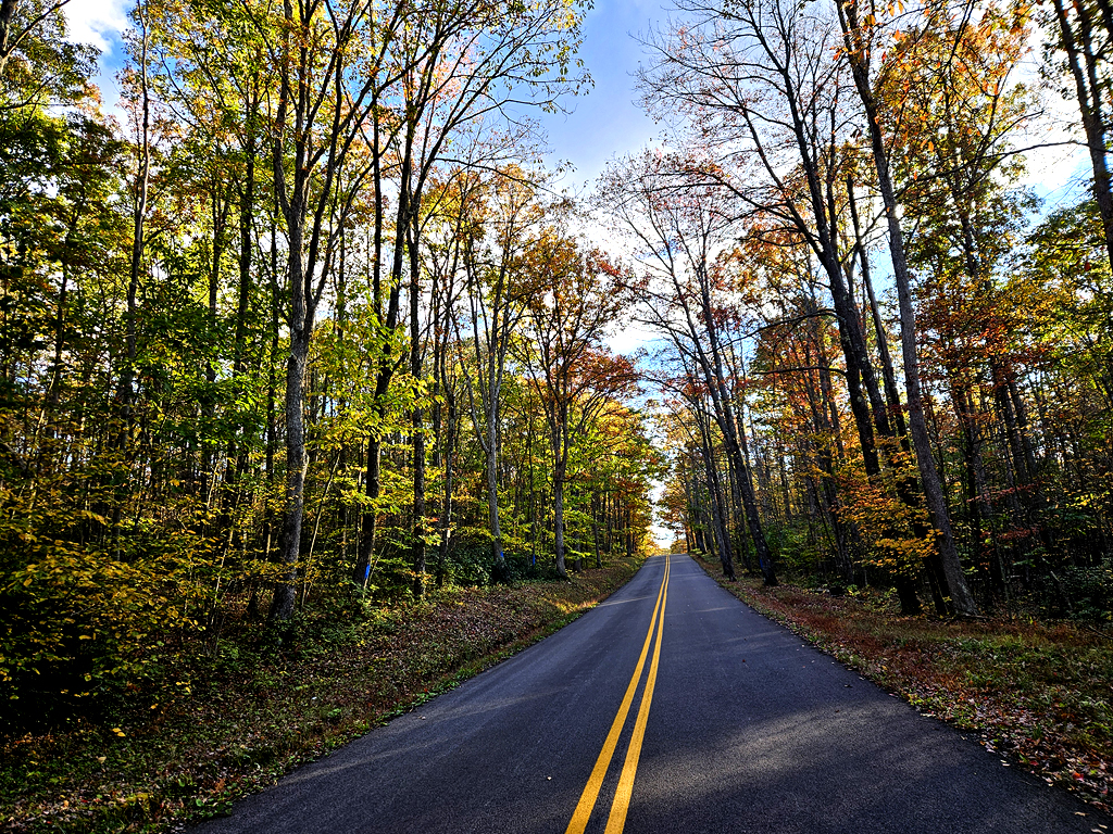 Oranges, browns and yellows show in the sun along a country road.