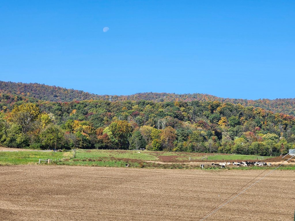 An almost full moon sits in a bright blue sky above a colorful mountain range.