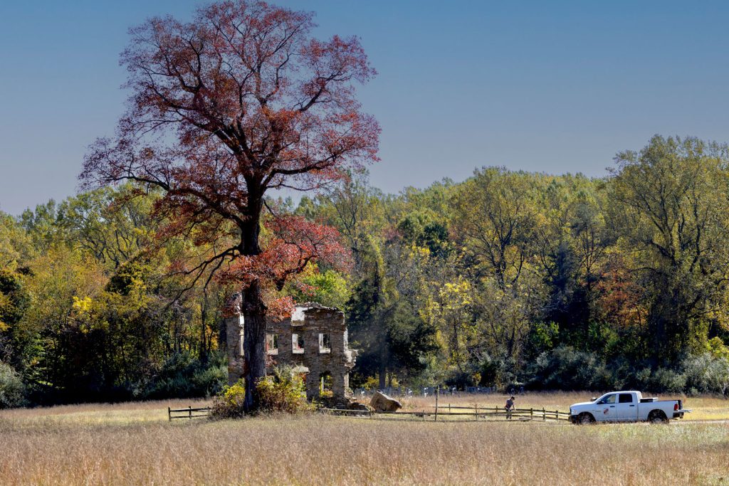 Old house still stands next to a bright red tree